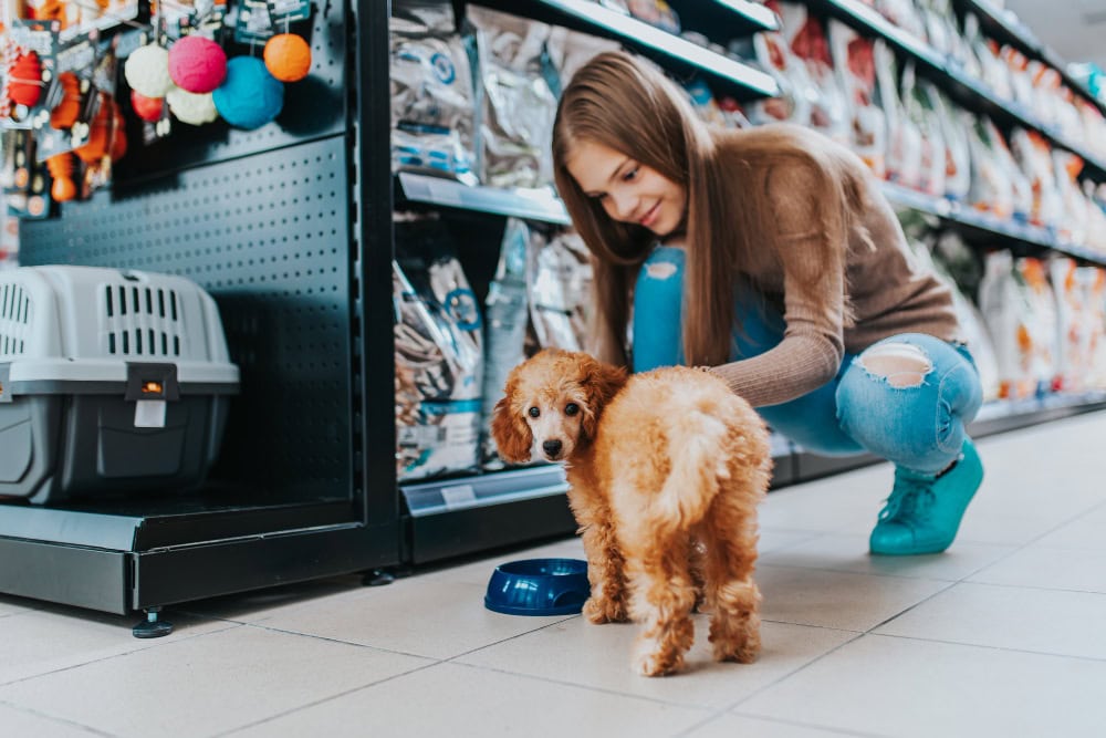Pets