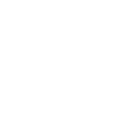 American Airlines