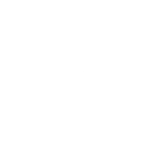 TAP Air Portugal